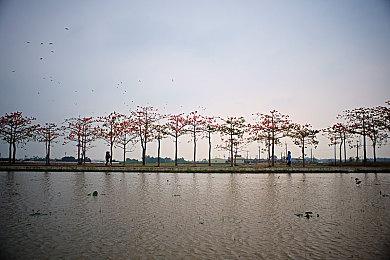 《地下城与勇士：决斗》新DLC角色“气功师”预告 6月13日上线